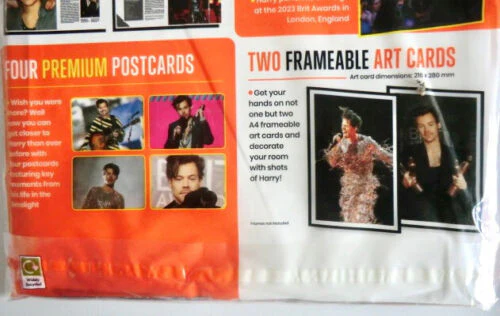 Ultimate HARRY STYLES Fan Pack + 10 Free Gifts & 12 Stickers - Brand New Sealed - Image 4
